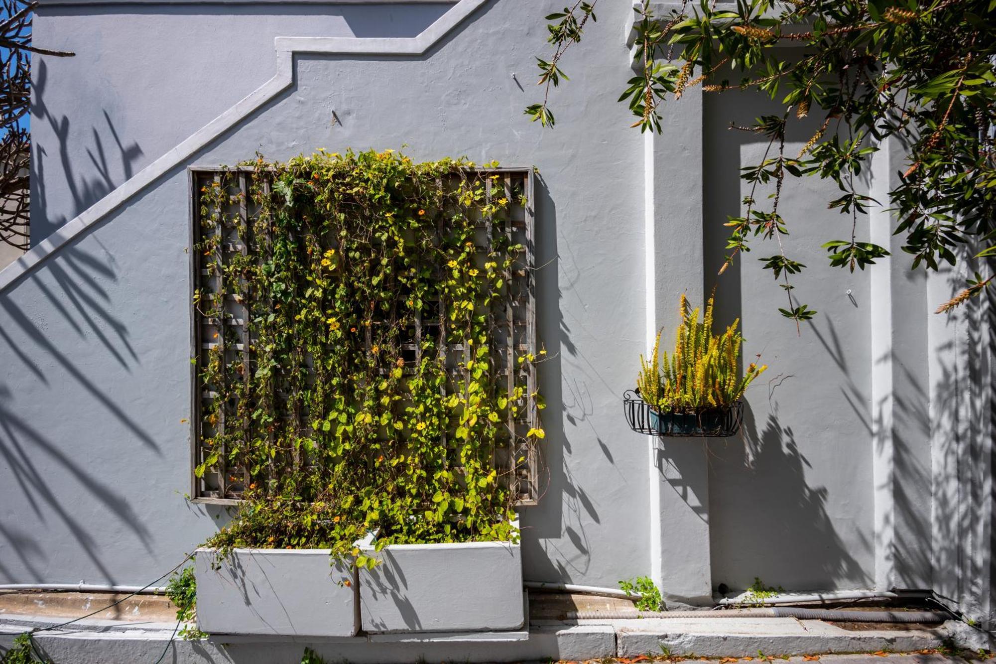 Barry Hall Apartments Cape Town Exterior photo